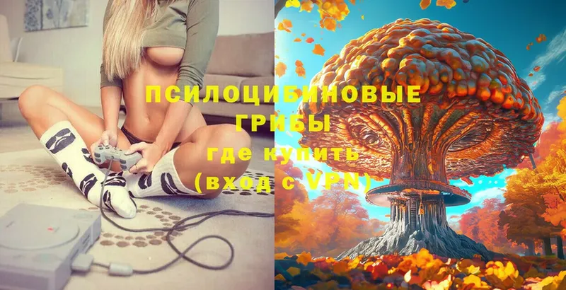 Псилоцибиновые грибы MAGIC MUSHROOMS  Тобольск 